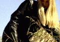 preview pic mfvideoonline.com
