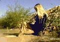 preview pic mfvideoonline.com