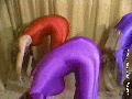 preview pic mfvideoonline.com
